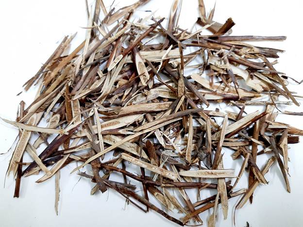 tạo giác thích 4