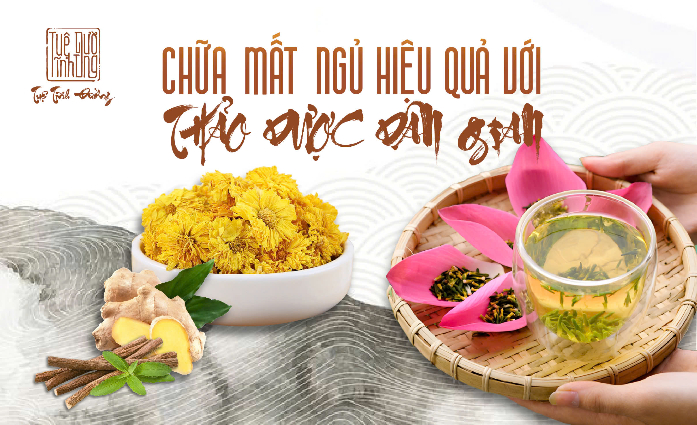 Chữa mất ngủ hiệu quả với thảo dược dân gian