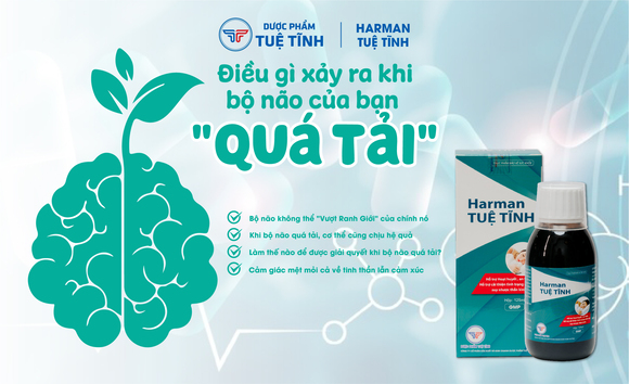 Điều gì xảy ra khi bộ não của bạn “Quá Tải”? 